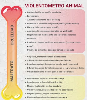 violentometro animal