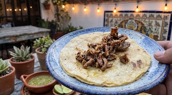 Mano que sostiene un plato con un taco de tripa sobre una tortilla, junto a recipientes con salsa verde, limones y macetas.