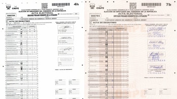 El documento correspondía a una mesa de sufragio en Nueva Jersey. Composición: Infobae