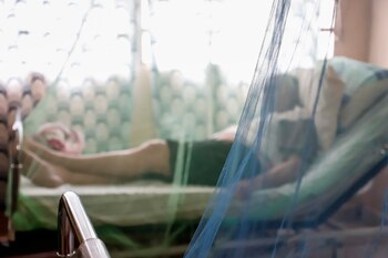 El dengue se contrae a