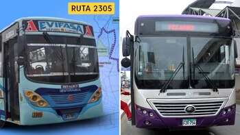 Tres empresas de transportes han
