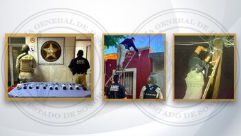 C4 criminal en Sonora: decomisan