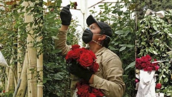 Con más de cuatro mil