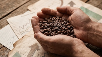 Exportaciones de café y azúcar impulsan el comercio exterior de El Salvador en el primer cuatrimestre de 2026, según BCR