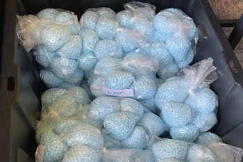 Bolsas plásticas transparentes llenas de pastillas pequeñas de color azul en un contenedor oscuro, una bolsa tiene una etiqueta con el nombre Leon