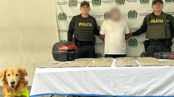El perro antinarcótico ‘Toro’ evitó que al menos 30 envíos de droga salieran del Valle del Cauca y llegaran a otras regiones de Colombia
