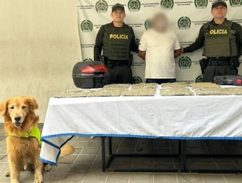 La UNIPOL atribuyó parte de los hallazgos al canino Toro y a su guía policial en controles a empresas de mensajería - crédito Policía Valle