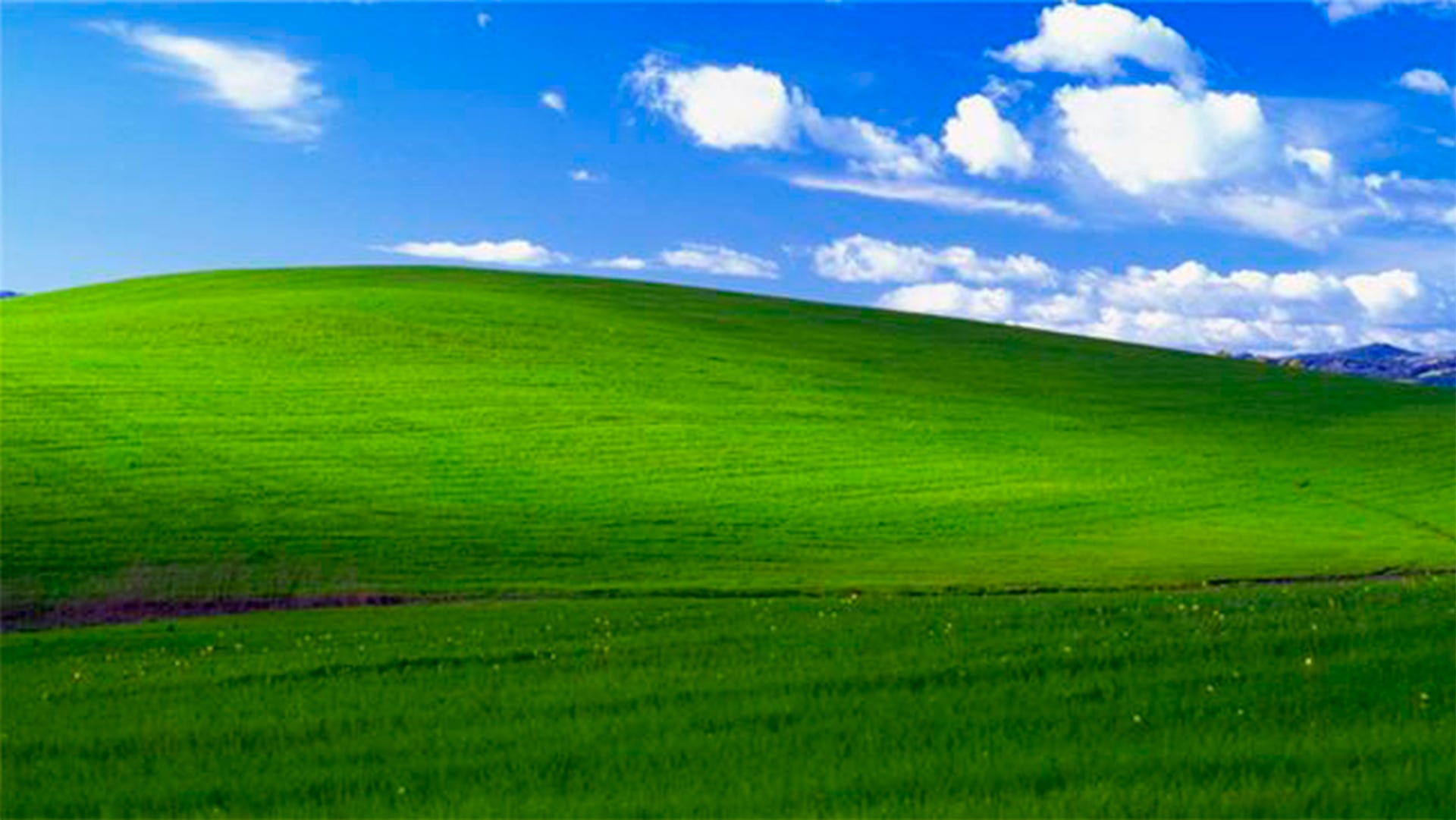 La imagen se convirtió en fondo de pantalla de Windows XP
