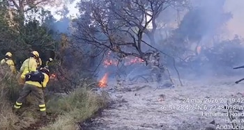 Bomberos luchan contra las llamas en el incendio declarado en el término de Almonte, Huelva. (X/@antoniosanz)