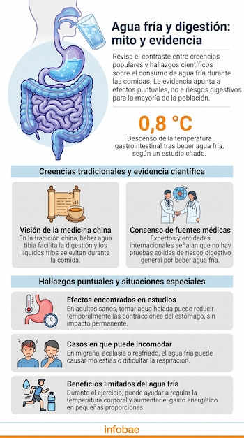 Infografía con ilustración de sistema digestivo humano y una persona bebiendo agua fría con hielo. Incluye gráficos y texto sobre digestión y temperatura.