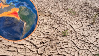 Es aún muy prematuro saber