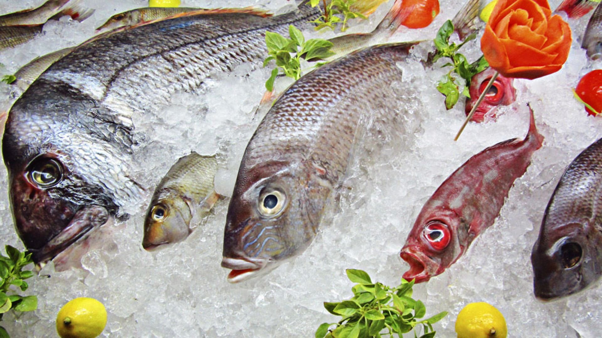 Así identificarás si un pescado es fresco o no. (Depositphotos)