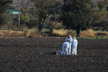 Durante un periodo de 13