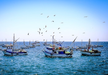 O número de autorizações aumentou 47,22% em relação ao mesmo período de 2025, o que significa mais 200 autorizações emitidas entre janeiro e março.