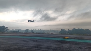 El 2025 fue el periodo