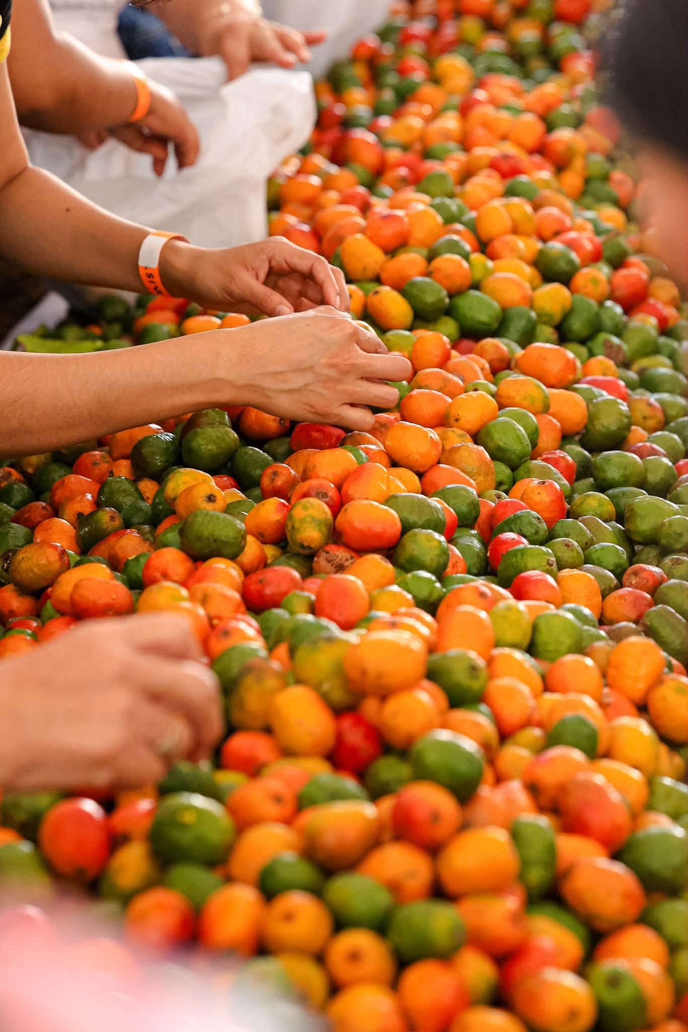 La Feria del Jocote Corona que transformó el Cerro Verde en un destino gastronómico con sabores únicos de El Salvador (Foto cortesía ISTU)