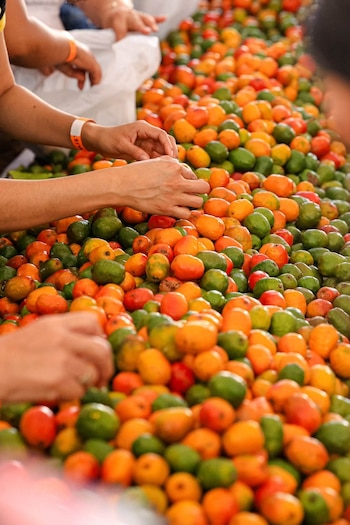 La Feria del Jocote Corona que transformó el Cerro Verde en un destino gastronómico con sabores únicos de El Salvador (Foto cortesía ISTU)