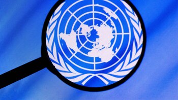 Relator de la ONU pide