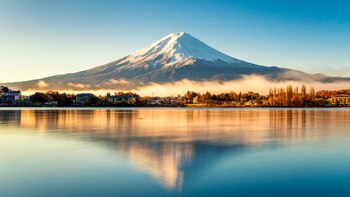 31 impresionantes fotos de los