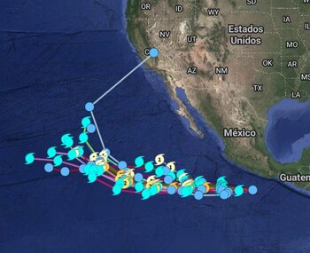 Esta es la posible trayectoria