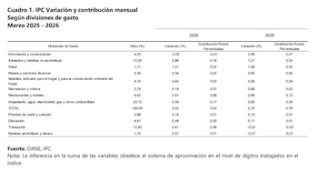 Información y Comunicación fue la división de gasto de mayor variación en marzo de 2026 - crédito Dane