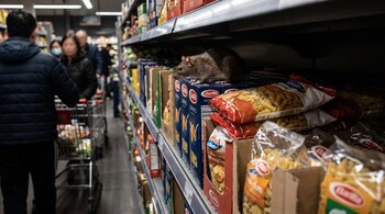Una rata de color marrón sobre cajas y paquetes de pasta en un estante de supermercado con personas y carritos de compras en el fondo.