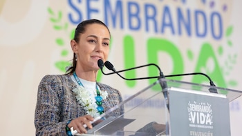 Sembrando Vida es uno de