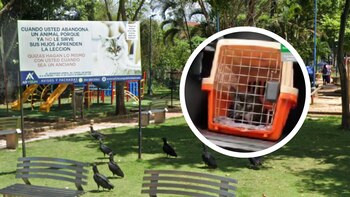 Indignación en Bucaramanga por robo