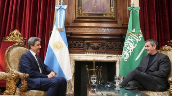 Martín Menem y el embajador