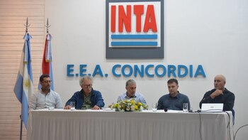 Con foco en lograr una