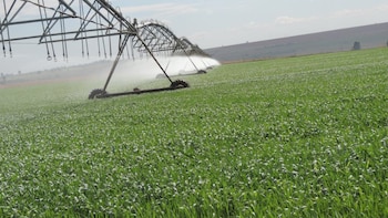 Un exfuncionario de Economía defendió