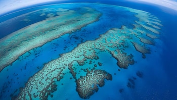 El emblemático ecosistema australiano enfrenta