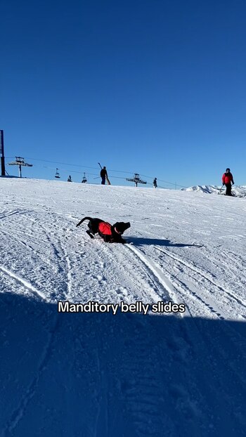 Un perro de rescate participa