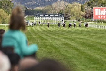 Los pasos para jugar Lototurf son muy sencillos (Europa Press)