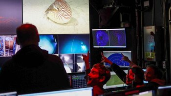 Un equipo de inmersión marina se topa con un “fósil viviente” por primera vez tras 15 años de búsqueda: “Los sueños se hacen realidad”