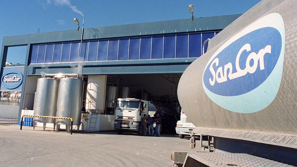 Quiebra de Sancor: 6 empresas locales y extranjeras compiten por comprar lo que queda del gigante lácteo Quiebra de Sancor: 6 empresas locales y extranjeras compiten por comprar lo que queda del gigante lácteo