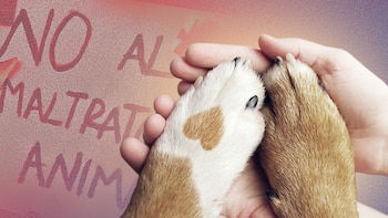 Las autoridades pueden imponer la