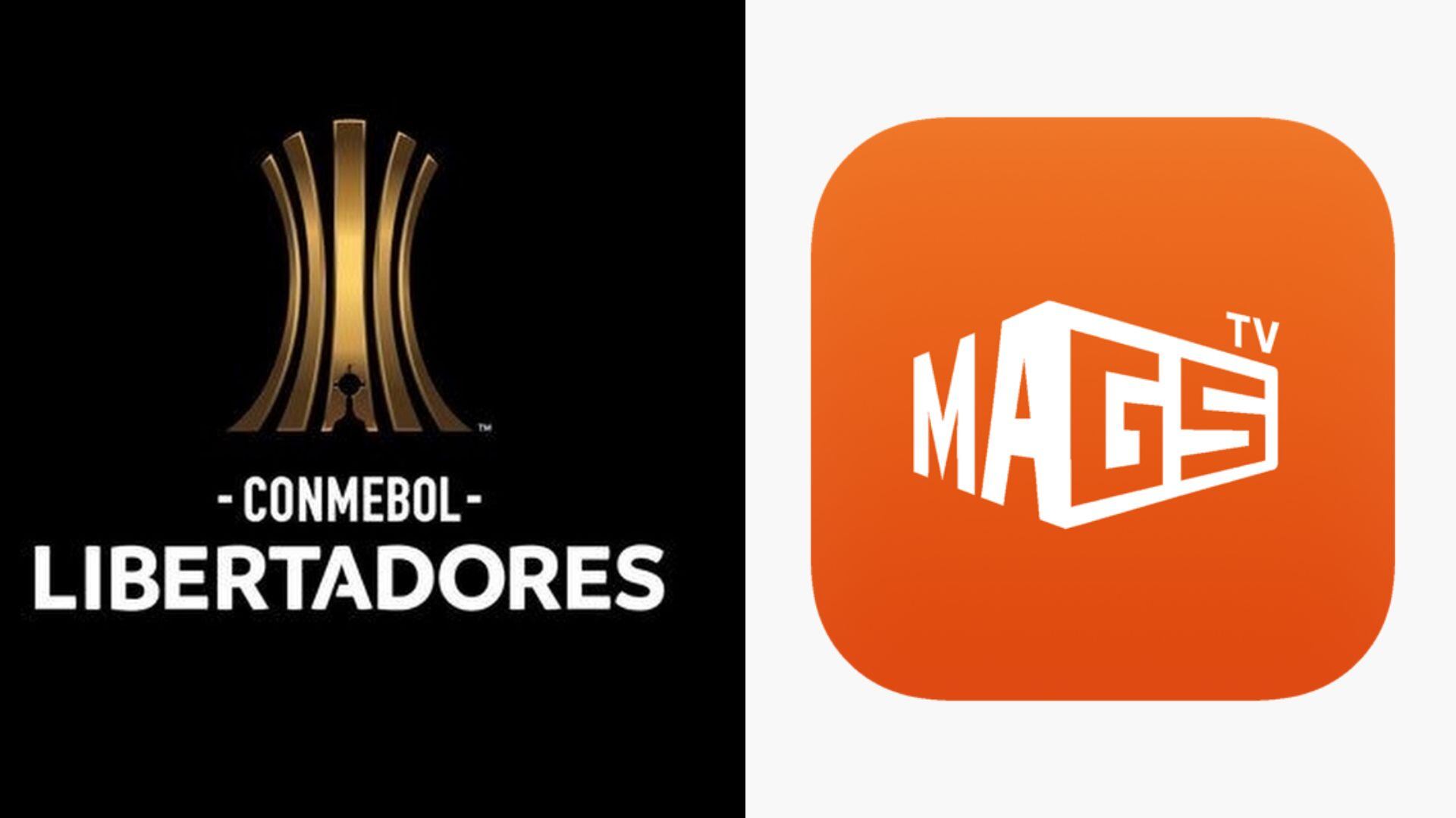 Estos servicios no tienen autorización para divulgar o transmitir en vivo este tipo de contenido. (Fotocomposición Infobae)