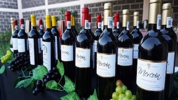 Festival de Vino y Queso de CI Facebook portada