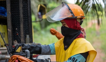Más de 175.000 pequeños productores cuentan con certificación RSPO, aunque persisten obstáculos como el financiamiento y la demanda limitada de productos certificados.