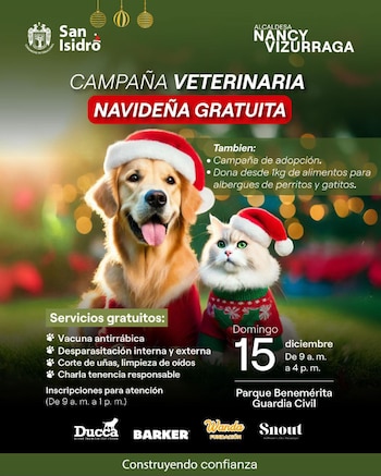 Los interesados deben asistir con