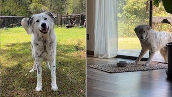 Del miedo a la felicidad: