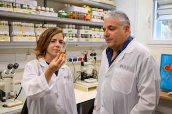 Dra. Tslil Braun y Prof.