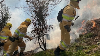 Estabilizado el incendio de Quintanas de Hormiguera