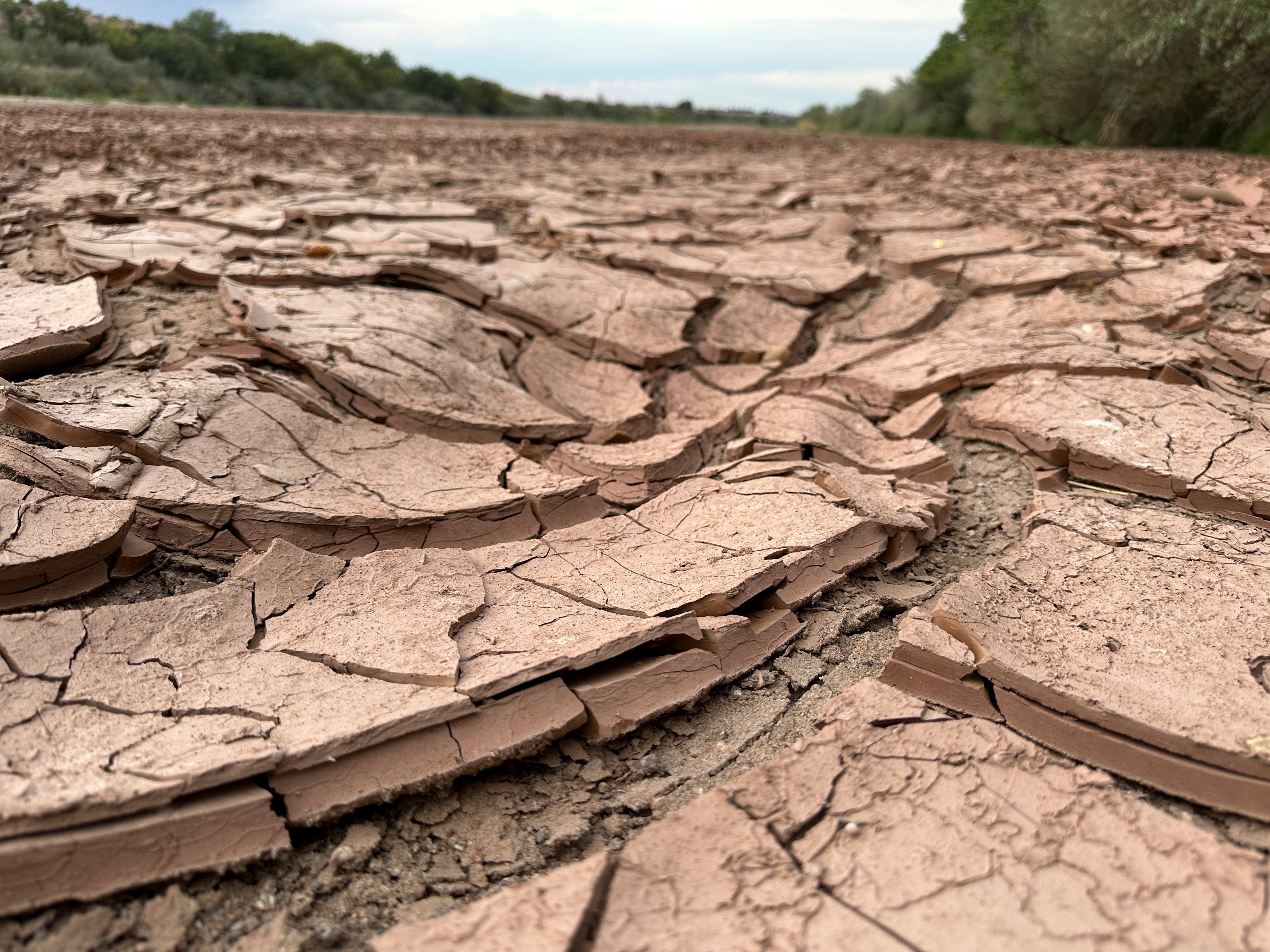 El Gobierno autorizó contrataciones especiales por hasta $80 millones para atender los efectos de El Niño. (AP Foto/Susan Montoya Bryan, archivo)