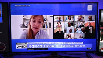 Sesión virtual de la Comisión