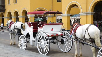 Presencia de caballos en el