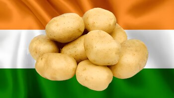 Esta iniciativa forma parte de