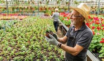 Efemérides – Efemérides en Perú – Qué se celebra – Perú – noticias – 30 junio