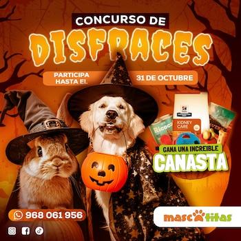 Organizan concurso de disfraces para